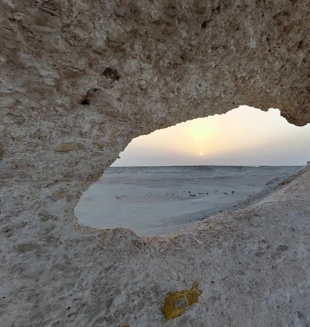 Doha: North and West Qatar Combo Tour with Pickup