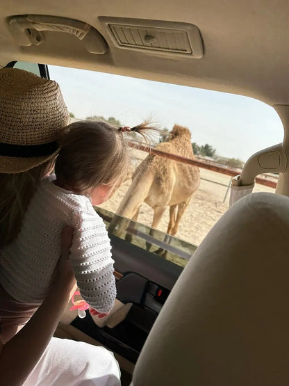 Doha: North and West Qatar Combo Tour with Pickup