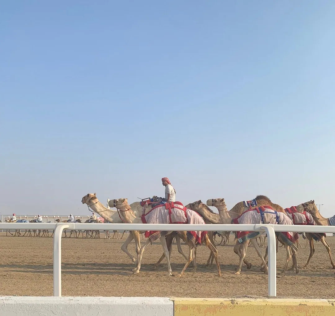 Doha: North and West Qatar Combo Tour with Pickup