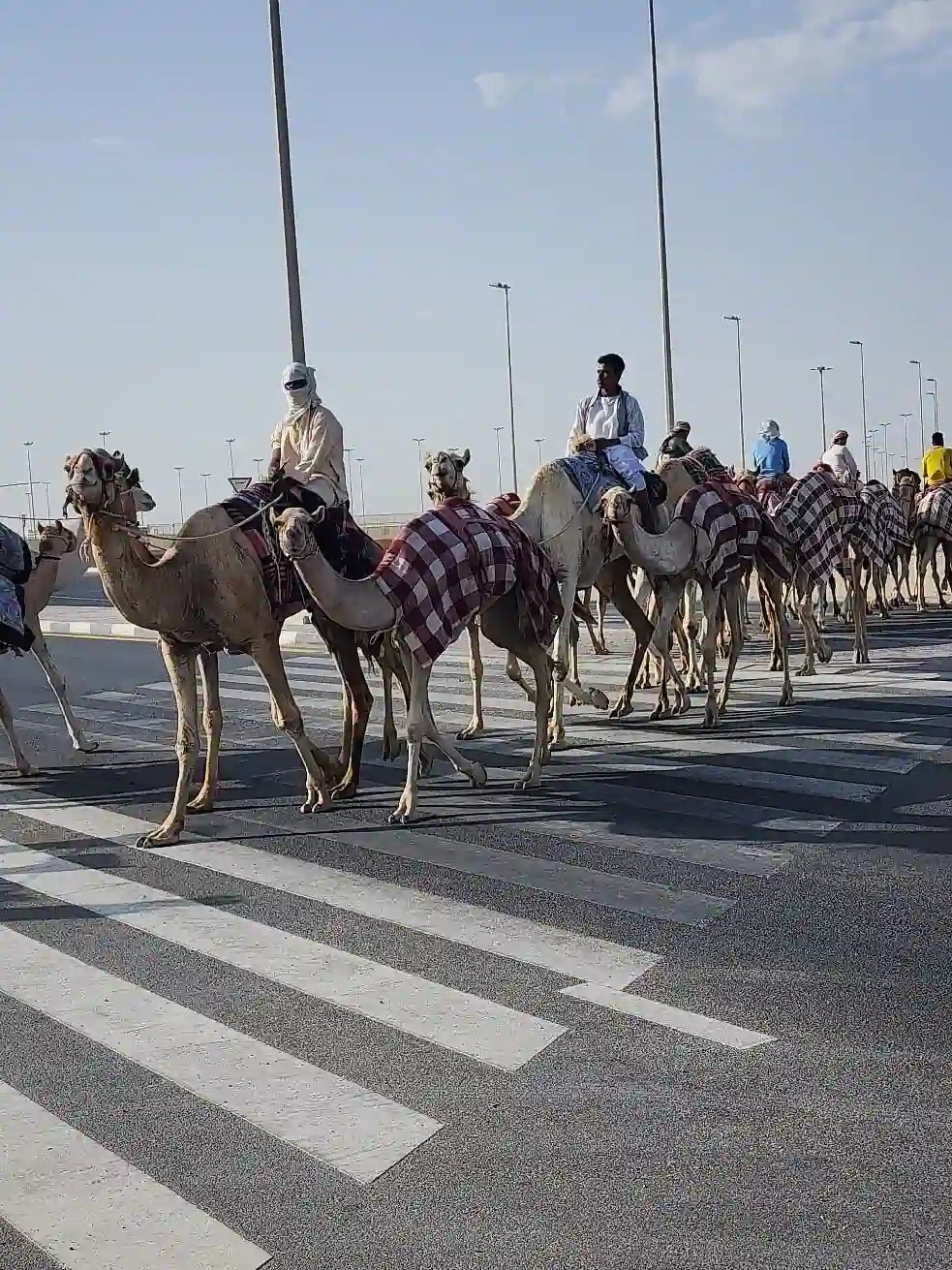 Doha: North and West Qatar Combo Tour with Pickup
