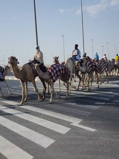 Doha: North and West Qatar Combo Tour with Pickup