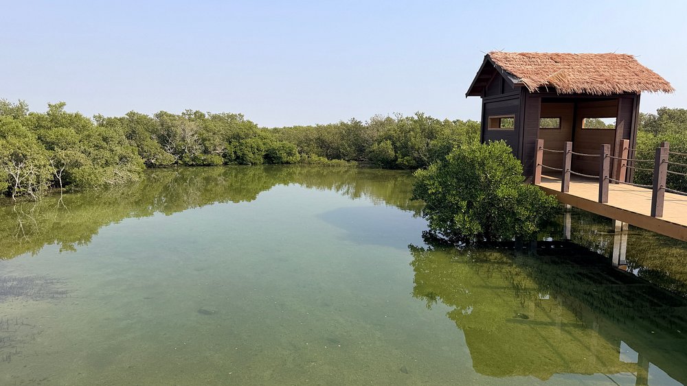 Doha: North and West Qatar Combo Tour with Pickup