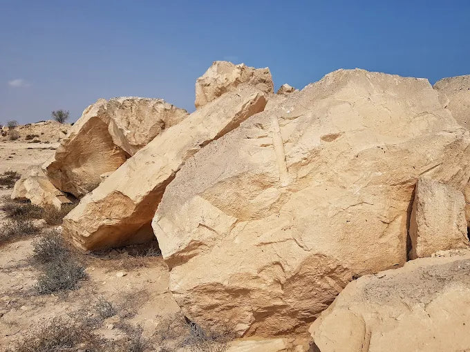 Doha: Nord- und Westtour mit Eintritt ins Shaikh Faisal Museum