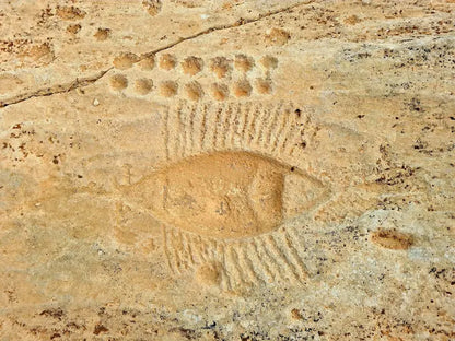 Doha: Nord- und Westtour mit Eintritt ins Shaikh Faisal Museum