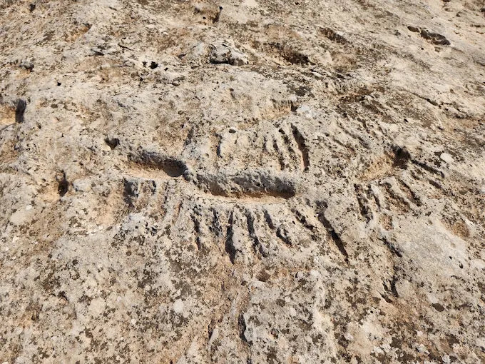 Doha: Nord- und Westtour mit Eintritt ins Shaikh Faisal Museum