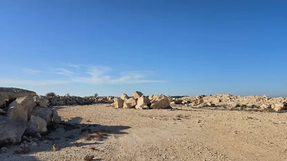 Doha: Nord- und Westtour mit Eintritt ins Shaikh Faisal Museum