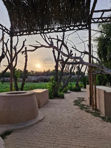 Doha: Nord- und Westtour mit Eintritt ins Shaikh Faisal Museum