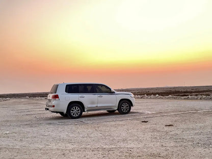 Doha: Northern Qatar, Zubara Fort, Purple Island and Mangroves Guided Tour