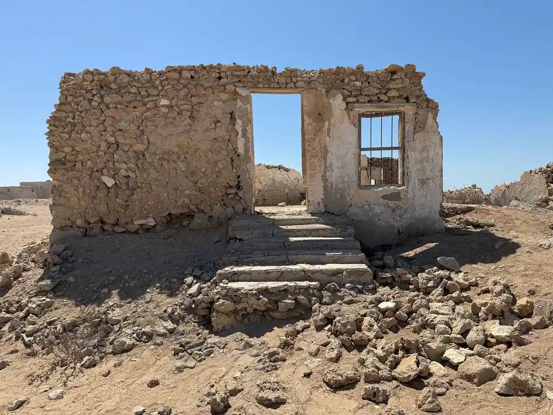 Doha: Northern Qatar, Zubara Fort, Purple Island and Mangroves Guided Tour