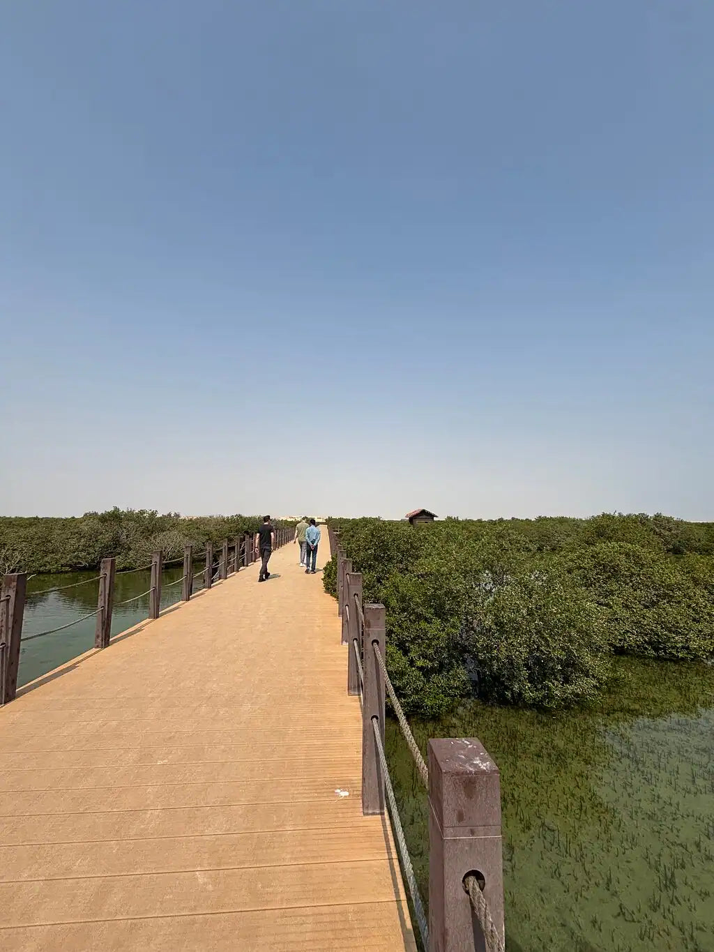 Doha: Northern Qatar, Zubara Fort, Purple Island and Mangroves Guided Tour