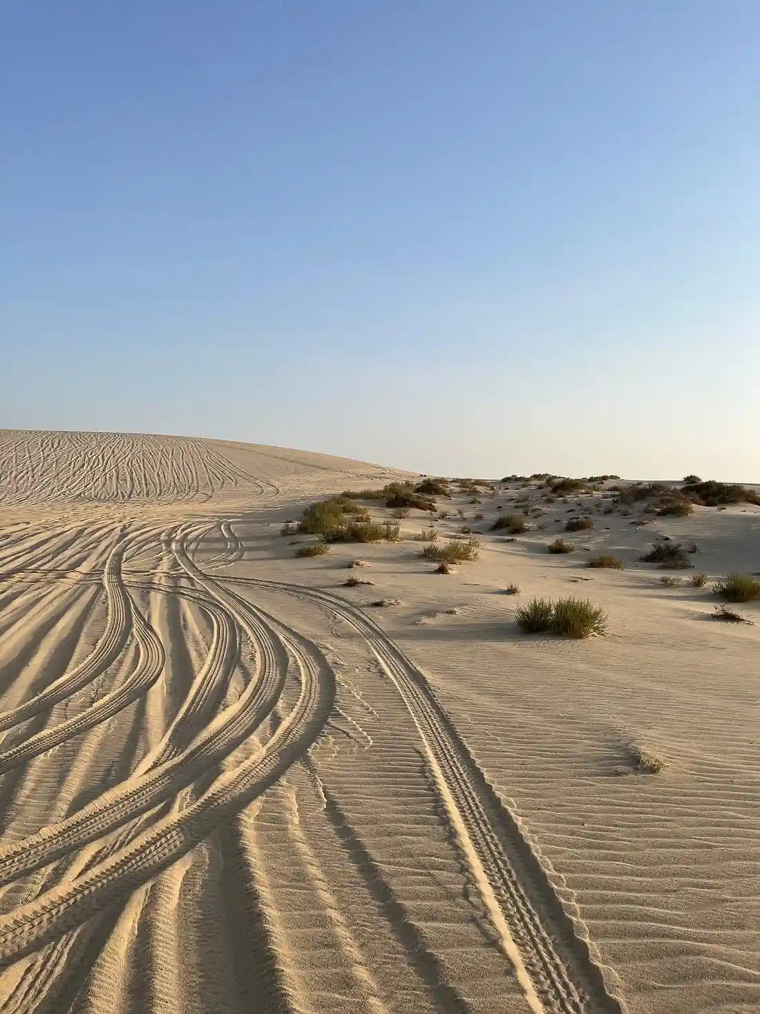 Doha: Overnight Desert Safari with BBQ and Inland Sea