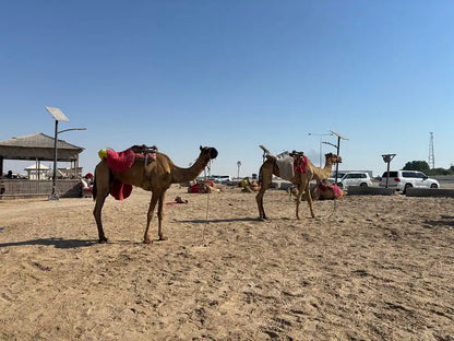 Doha: safari privato nel deserto con giro panoramico dello skyline di West Bay