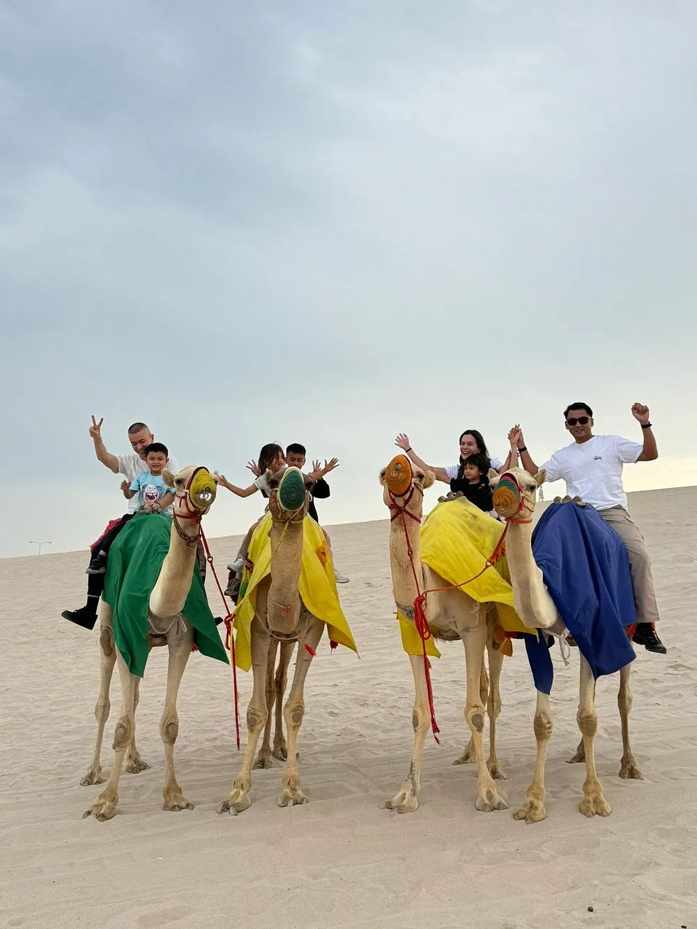 Doha: safari privato nel deserto con giro panoramico dello skyline di West Bay