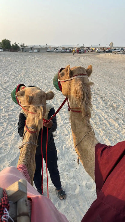 Doha: Private Half-Day Desert Safari, Sandboarding, Camel Ride and Inland Sea Tour