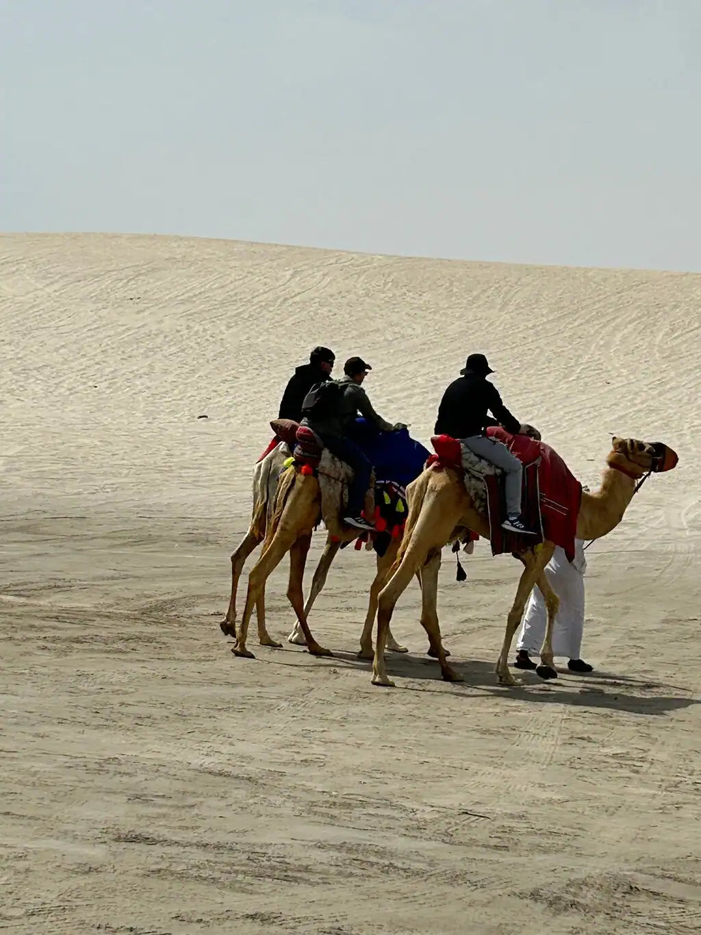Doha: Private Half-Day Desert Safari, Sandboarding, Camel Ride and Inland Sea Tour