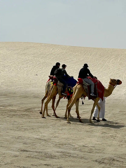 Doha: Private Half-Day Desert Safari, Sandboarding, Camel Ride and Inland Sea Tour