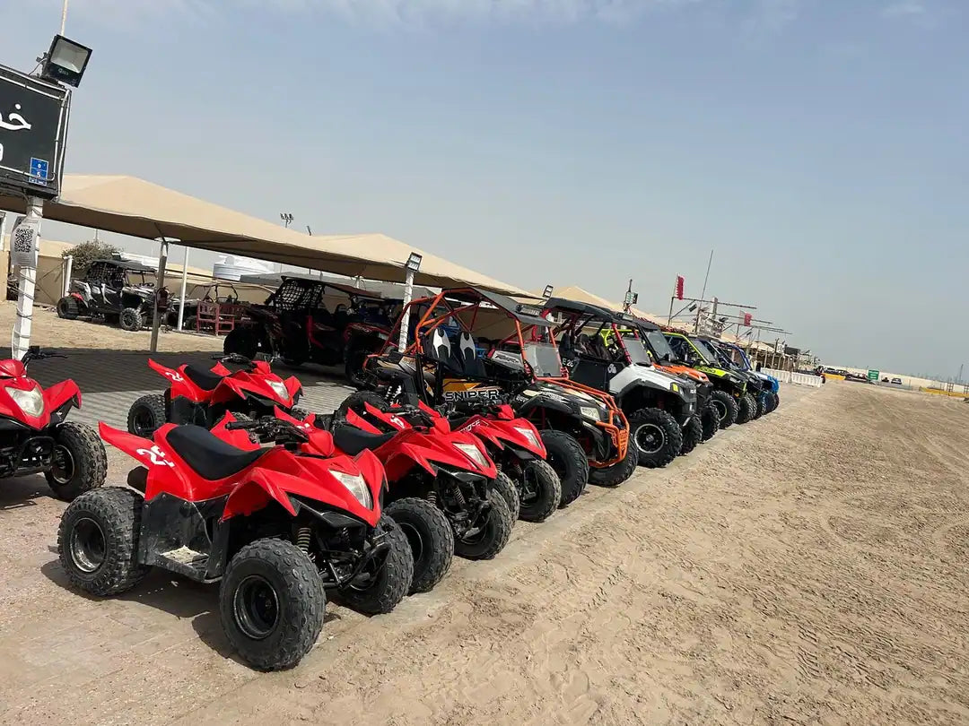 Doha: Private Half-Day Desert Safari, Sandboarding, Camel Ride and Inland Sea Tour
