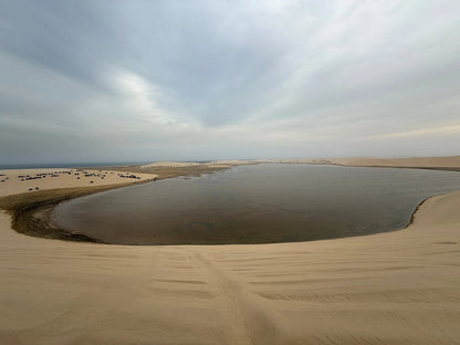 Doha: Private Half-Day Desert Safari, Sandboarding, Camel Ride and Inland Sea Tour