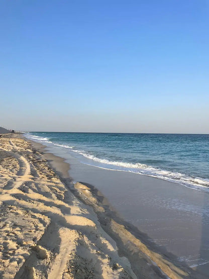 Doha: Private Half-Day Desert Safari, Sandboarding, Camel Ride and Inland Sea Tour