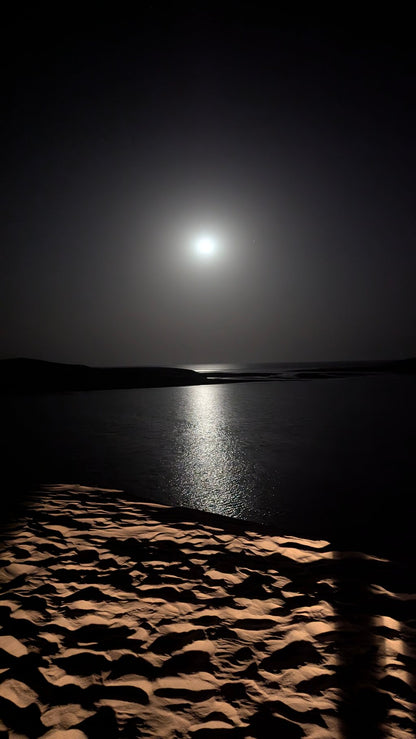 Doha : safari nocturne privé dans le désert avec balade à dos de chameau et observation des étoiles
