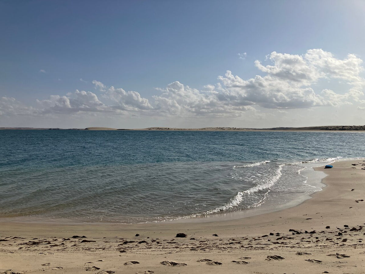 Doha : safari nocturne privé dans le désert avec balade à dos de chameau et observation des étoiles