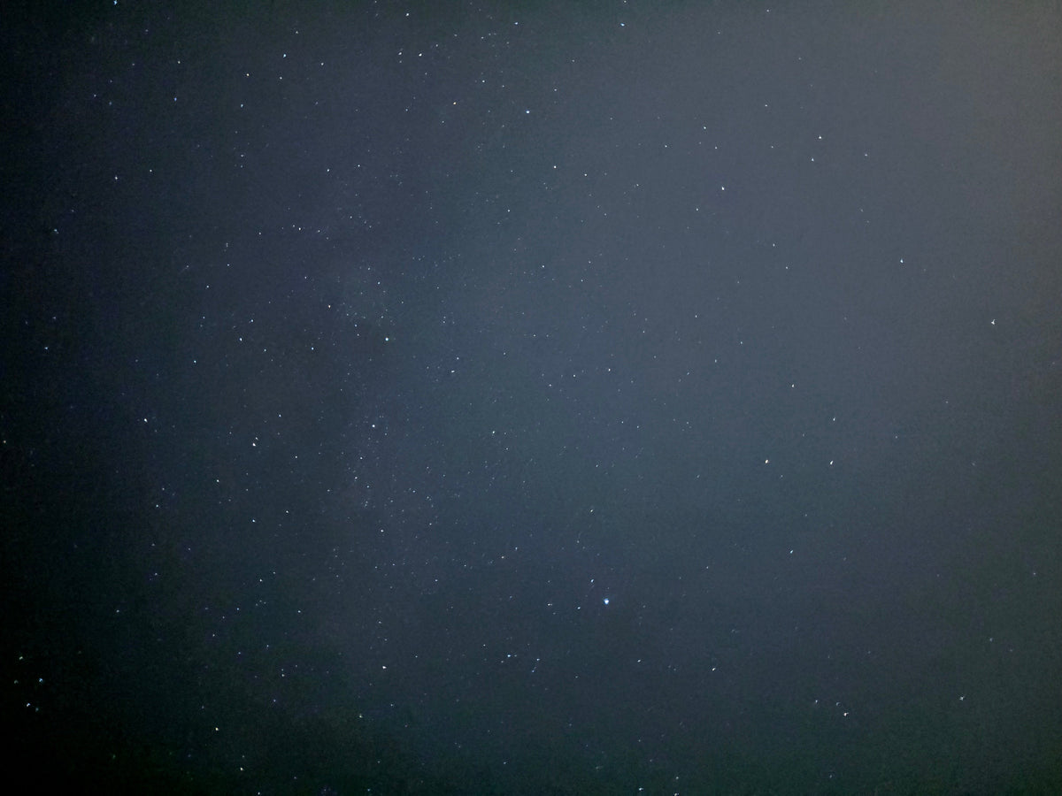 Doha : safari nocturne privé dans le désert avec balade à dos de chameau et observation des étoiles