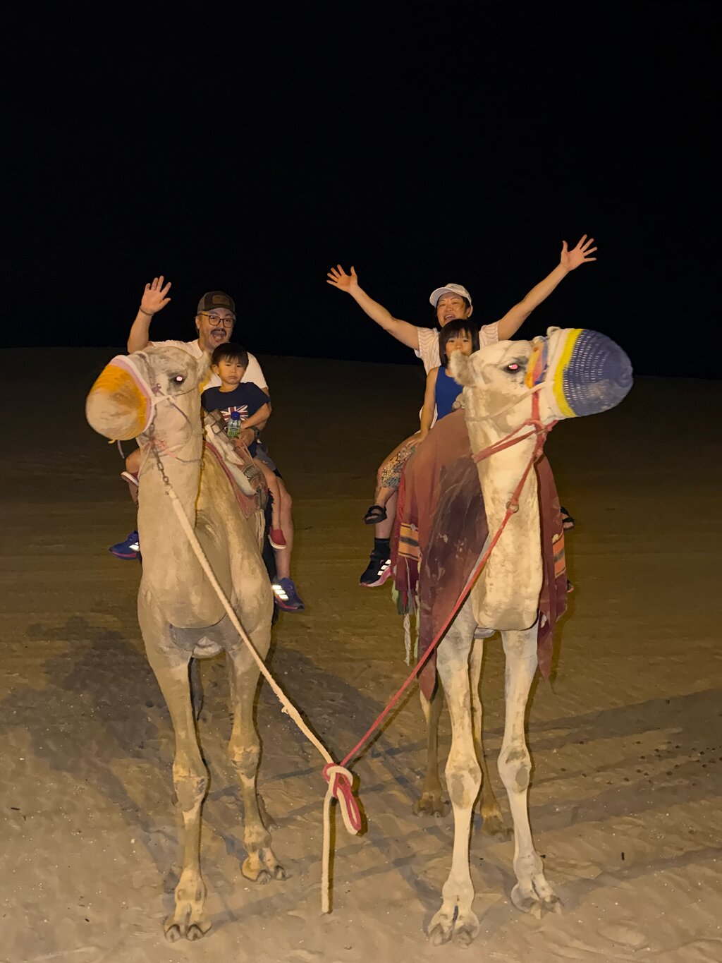 Doha : safari nocturne privé dans le désert avec balade à dos de chameau et observation des étoiles