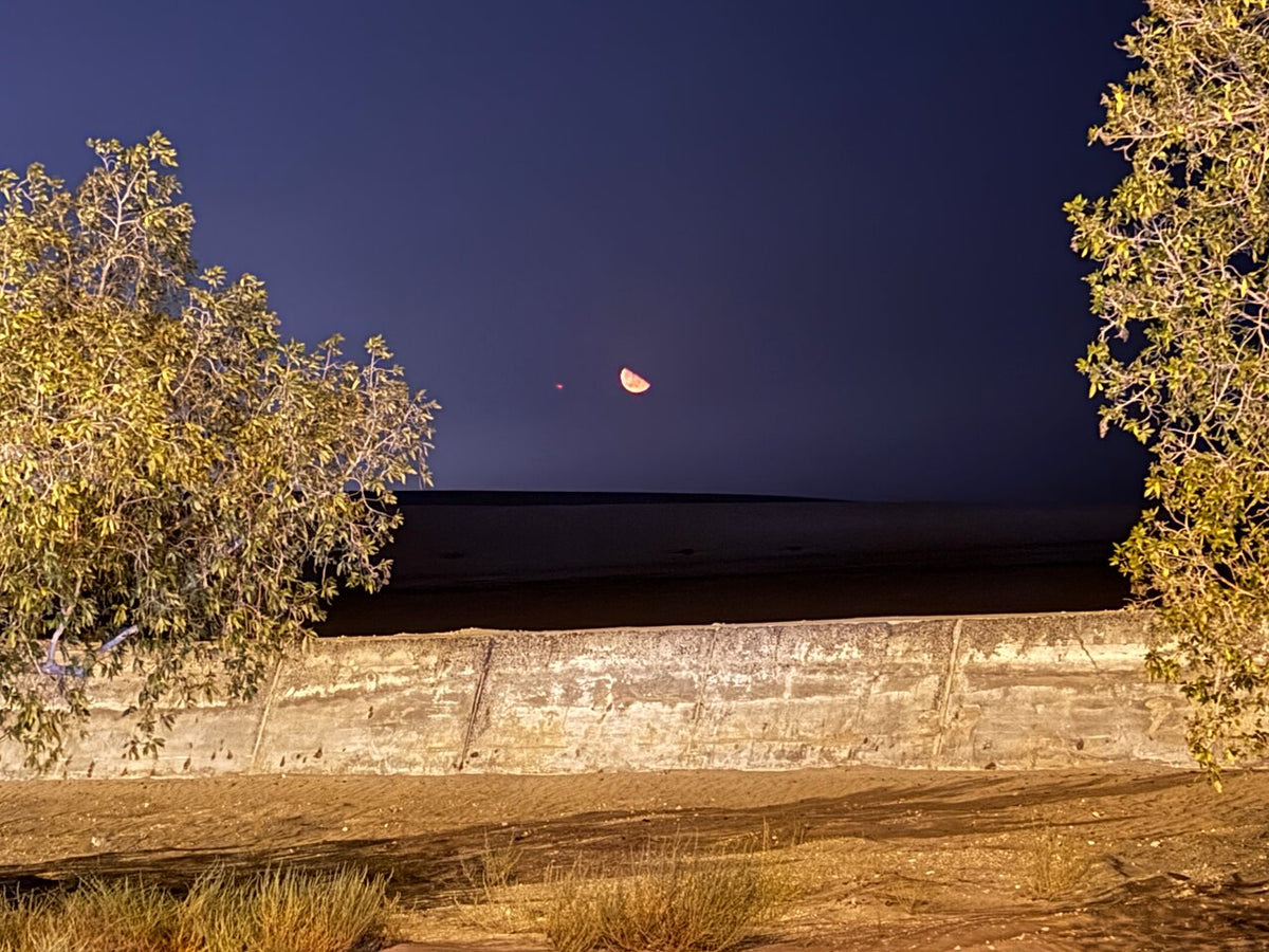 Doha : safari nocturne privé dans le désert avec balade à dos de chameau et observation des étoiles