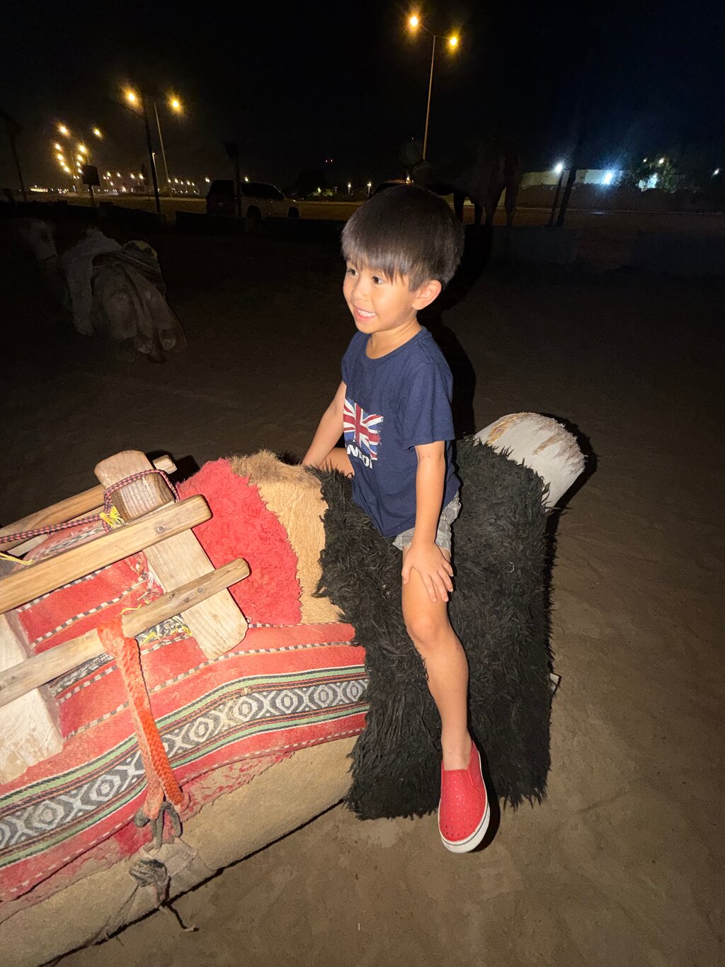 Doha : safari nocturne privé dans le désert avec balade à dos de chameau et observation des étoiles