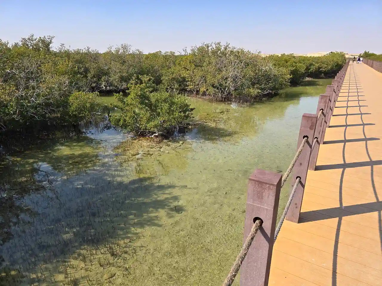 Doha: Private North Qatar and Al Zubarah Tour