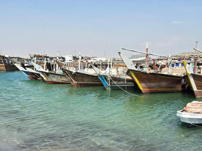 Doha: Private North Qatar and Al Zubarah Tour