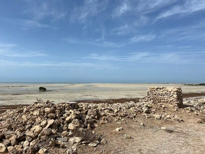 Doha: Private North Qatar and Al Zubarah Tour