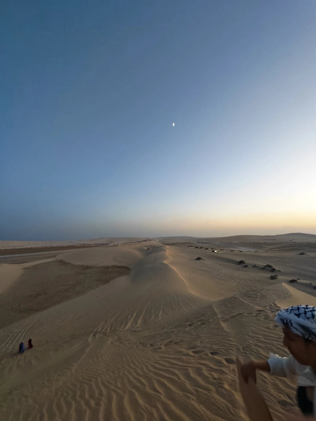 Доха: квадроцикл, багги, катание на верблюдах и сафари по пустыне - частный тур