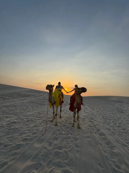 Доха: квадроцикл, багги, катание на верблюдах и сафари по пустыне - частный тур