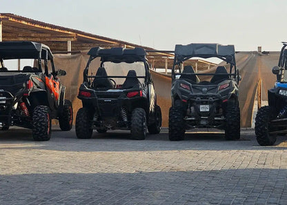 Доха: квадроцикл, багги, катание на верблюдах и сафари по пустыне - частный тур