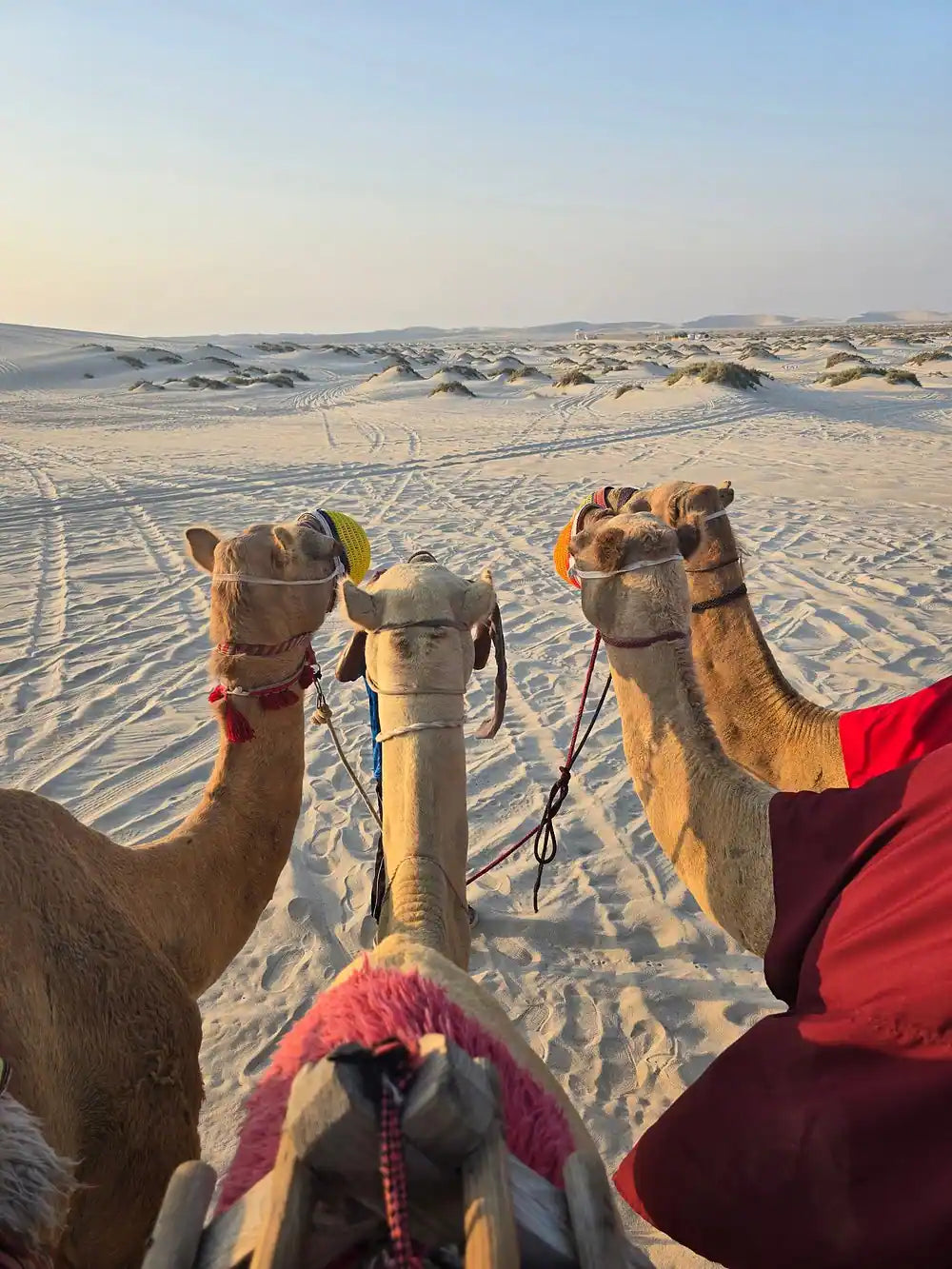 Doha: Gemeinsame Wüstensafari und Tour zum Binnenmeer mit optionalem Kamelritt