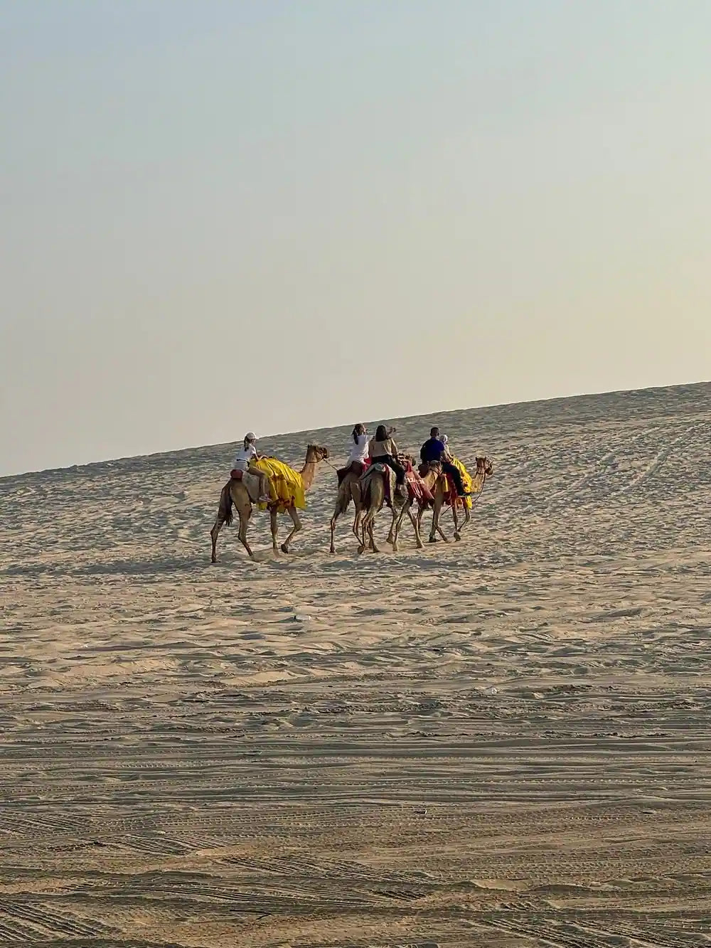 Doha: Gemeinsame Wüstensafari und Tour zum Binnenmeer mit optionalem Kamelritt
