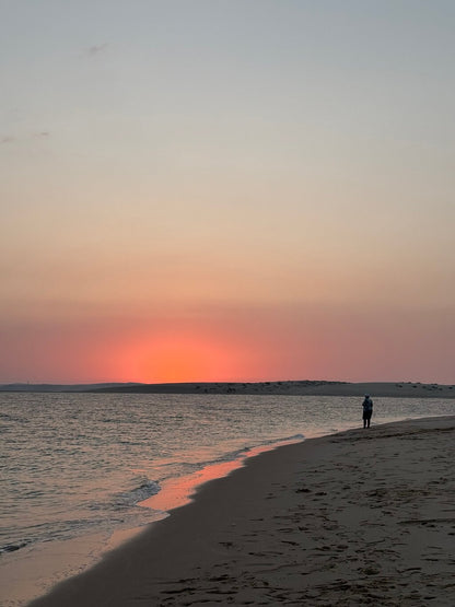 Doha: safari por el desierto al amanecer y tour guiado por el Mar Interior