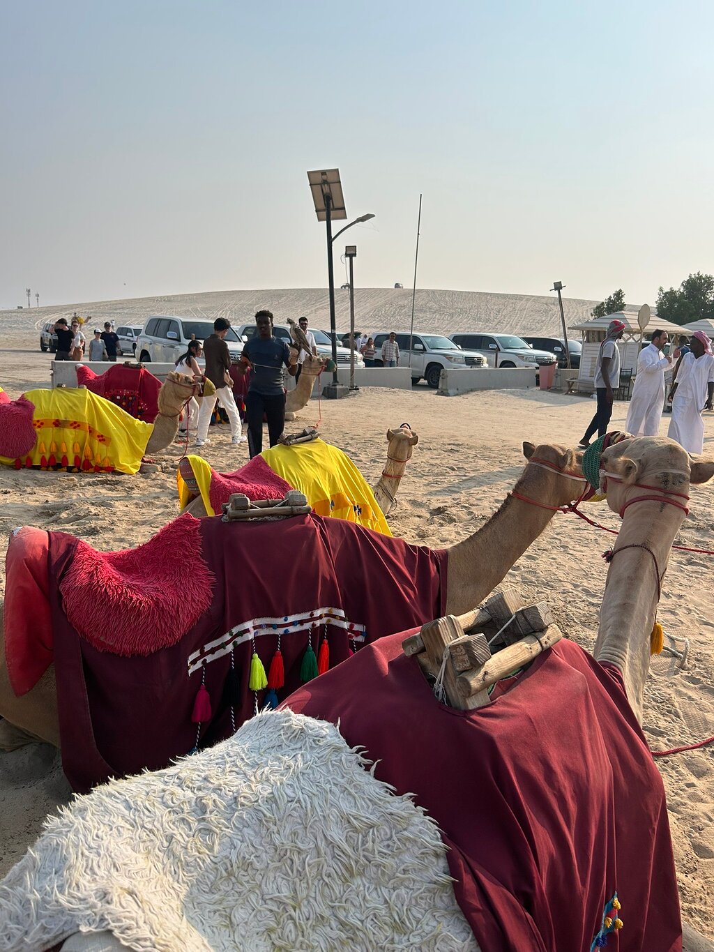 Doha: safari por el desierto al amanecer y tour guiado por el Mar Interior