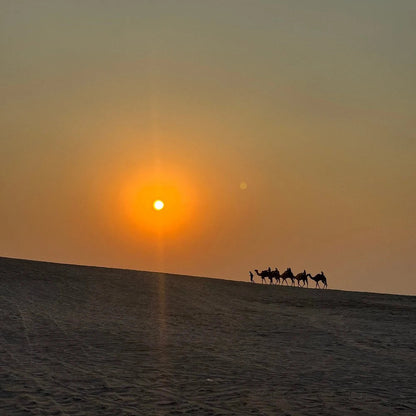 Doha : Safari dans le désert au lever ou au coucher du soleil avec dune bashing