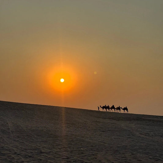 Doha: Safári no deserto ao nascer ou pôr do sol com passeio pelas dunas