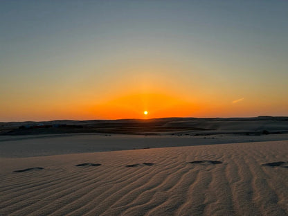Doha : Safari dans le désert au lever ou au coucher du soleil avec dune bashing