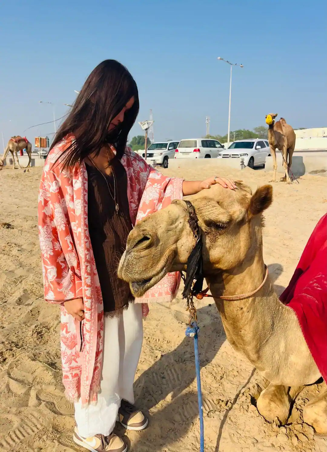 Doha: safari nel deserto al tramonto e visita al Mare Interno