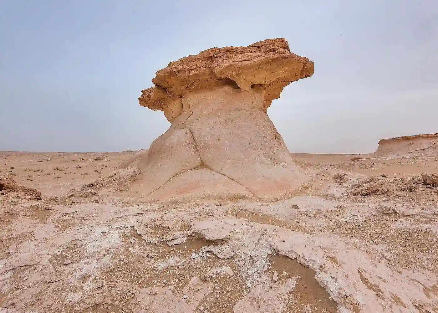 Doha: West Coast Zekreet Peninsula Tour