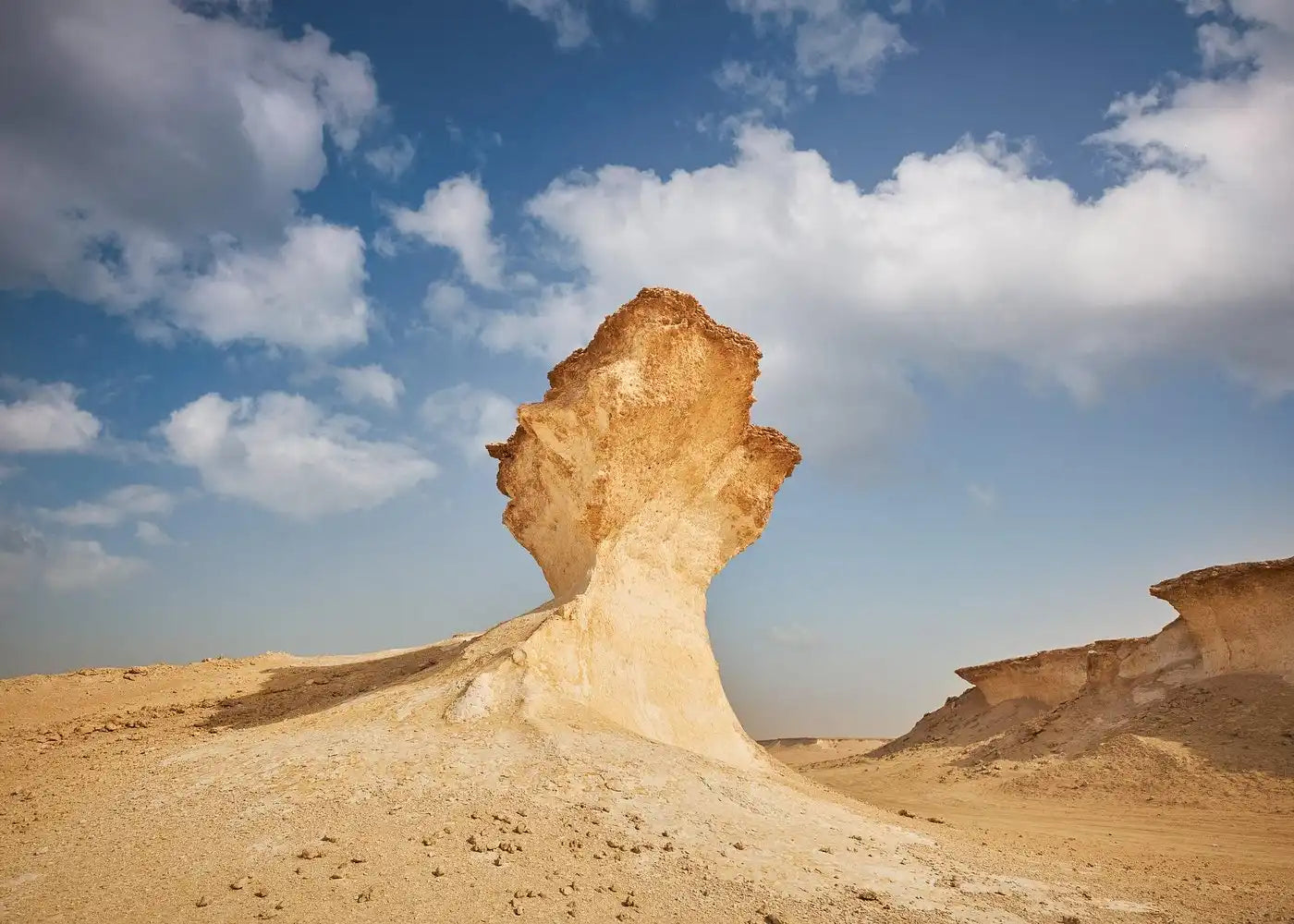 Doha: West Coast Zekreet Peninsula Tour