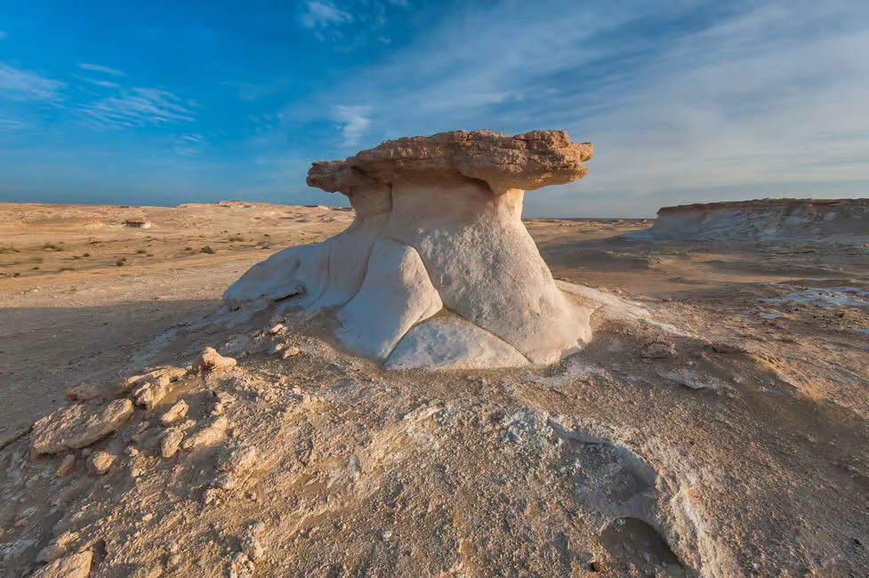 Doha: Vest-Qatar-tur til Shaikh Faisal-museet og Ash Shahiniyah Racetrack