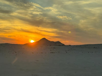 Doha: Vest-Qatar-tur til Shaikh Faisal-museet og Ash Shahiniyah Racetrack