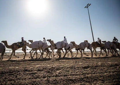 Doha: West Qatar Tour to Camel Racetrack, Richard Serra and Zekreet Beach