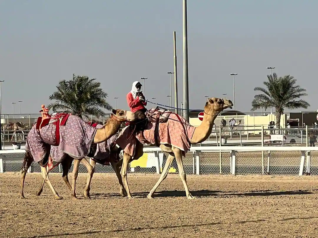 Doha: West Qatar Tour to Camel Racetrack, Richard Serra and Zekreet Beach
