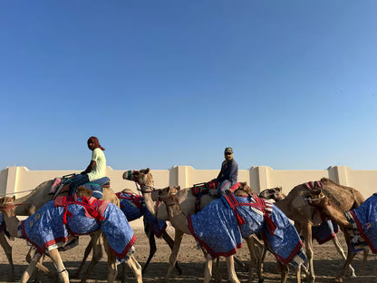 Doha: Zekreet, Kamelrennbahn und Richard Serra Tour